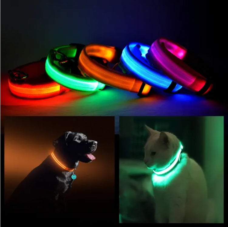 LED Halo Pet Safety Collar
