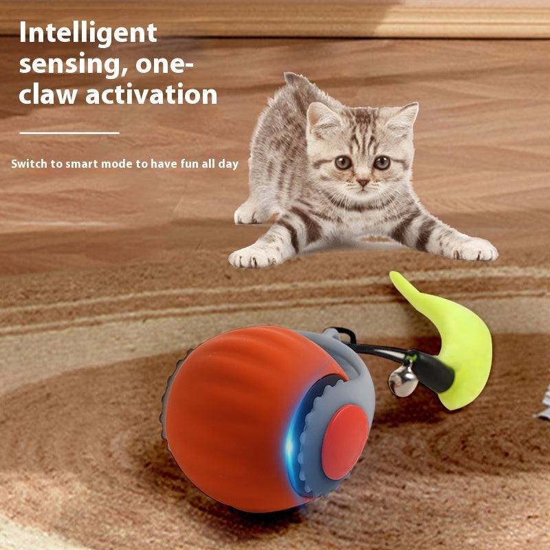 Speedy Tail Cat Toy