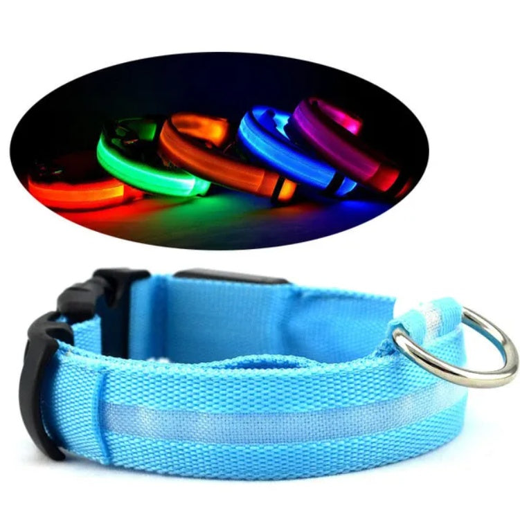 LED Halo Pet Safety Collar