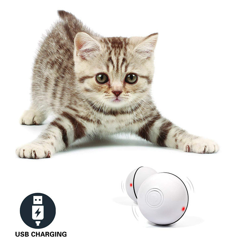 LED Cat Toy Ball