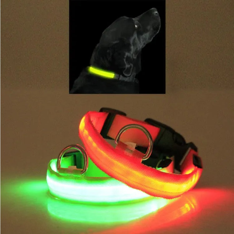 LED Halo Pet Safety Collar