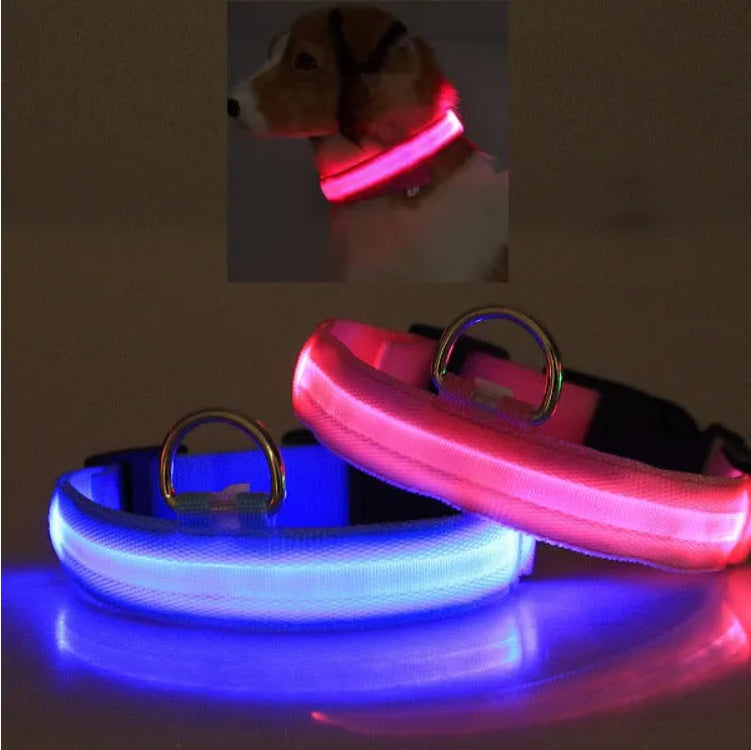 LED Halo Pet Safety Collar