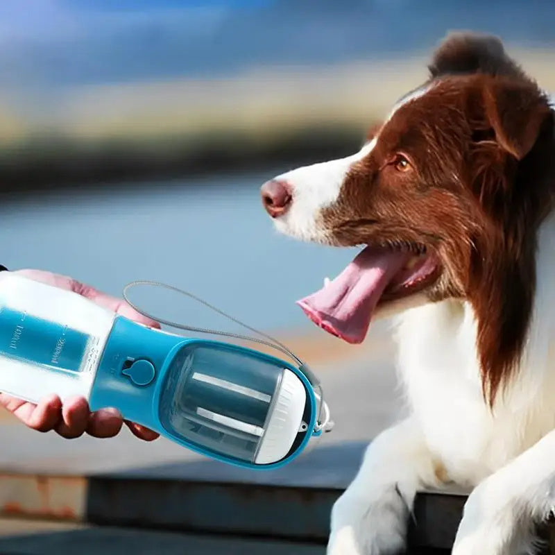 3-in-1 Dog Travel Bottle