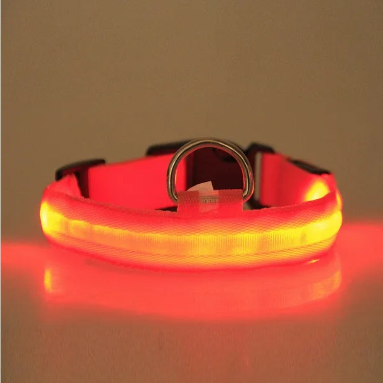 LED Halo Pet Safety Collar