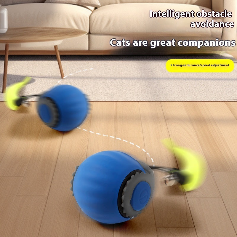 Speedy Tail Cat Toy