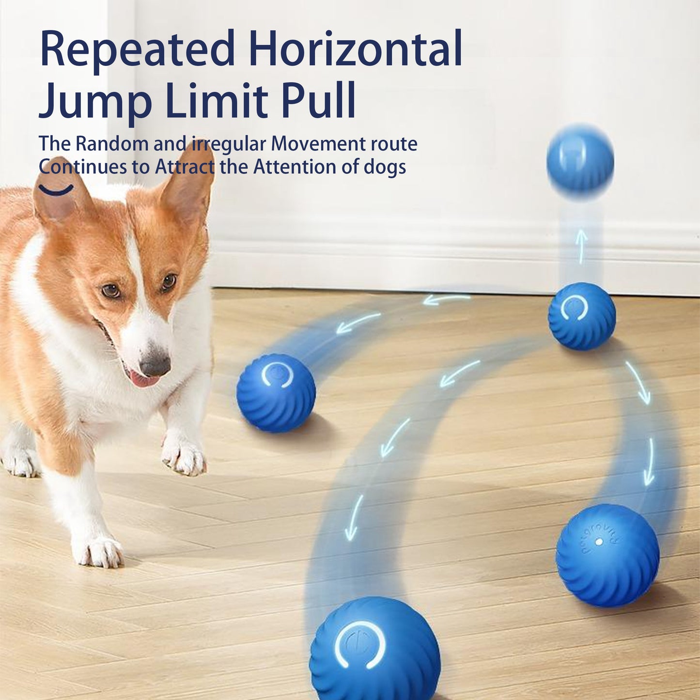 Bouncing Electric Dog Ball