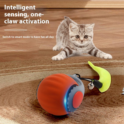 Speedy Tail Cat Toy