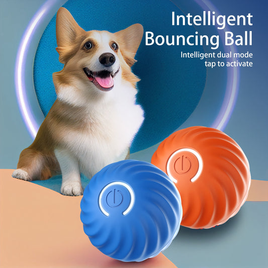 Bouncing Electric Dog Ball