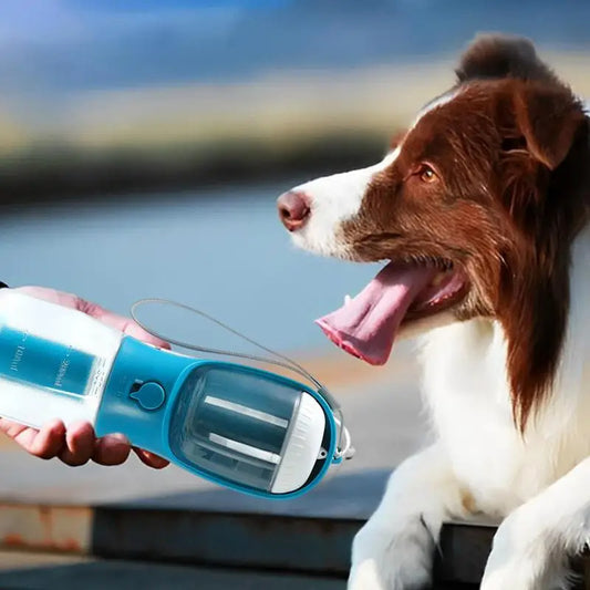 3-in-1 Dog Travel Bottle