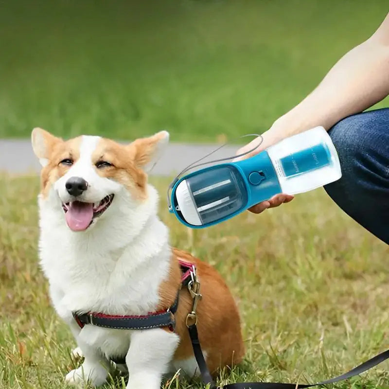 3-in-1 Dog Travel Bottle
